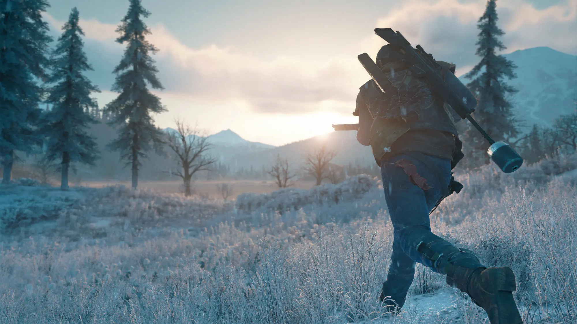 Frozen meadow