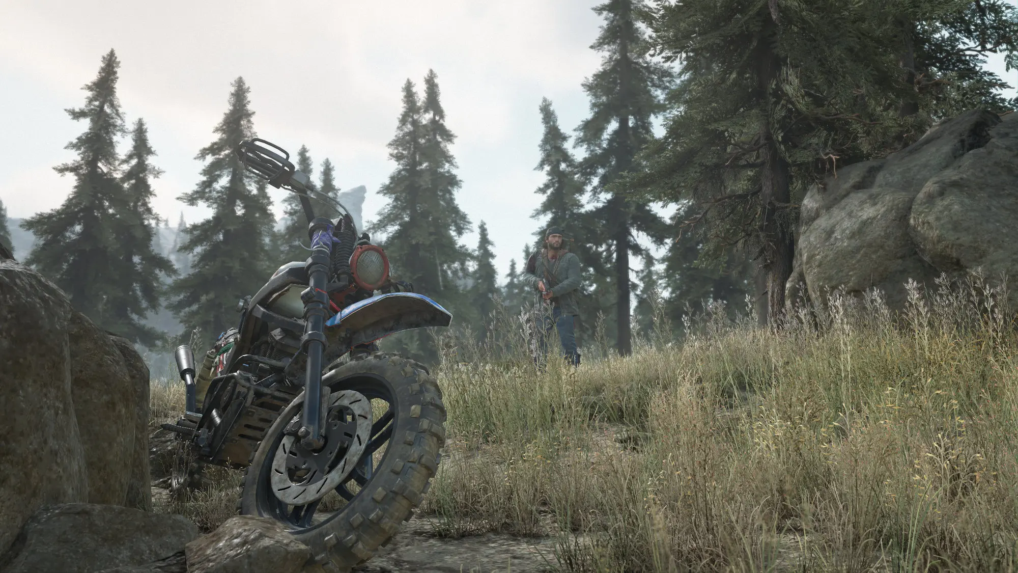 Parked In The Woods