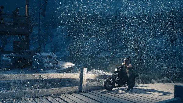 Snowflakes at Night