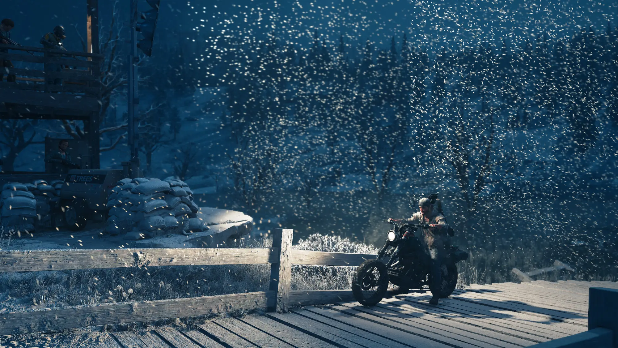 Snowflakes at Night