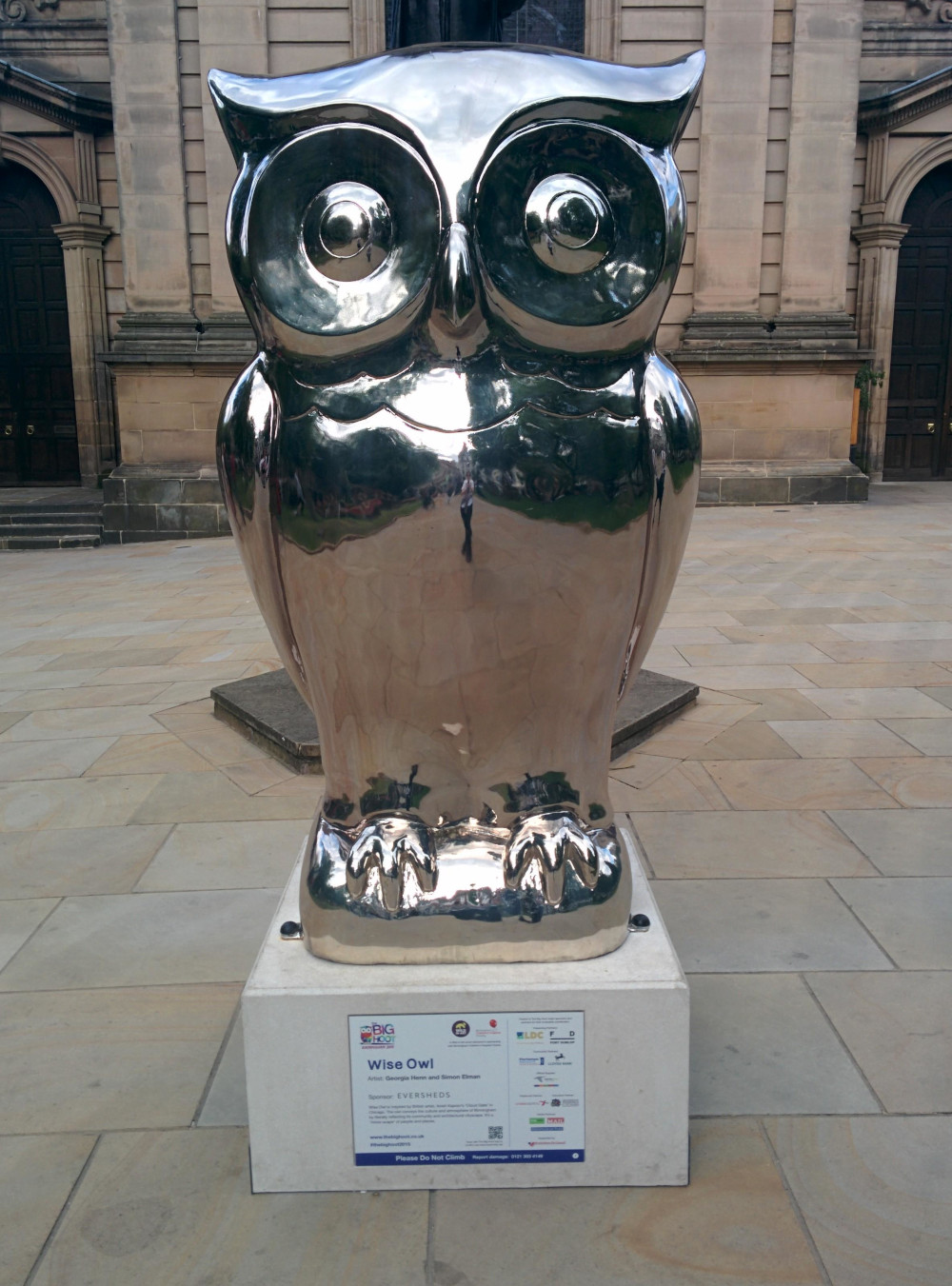 Wise Owl by Georgia Henn and Simon Elman