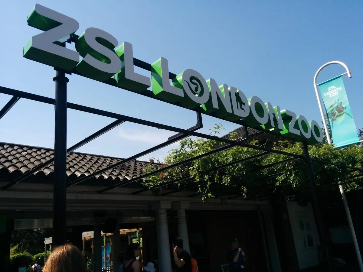 London Zoo — July 2015