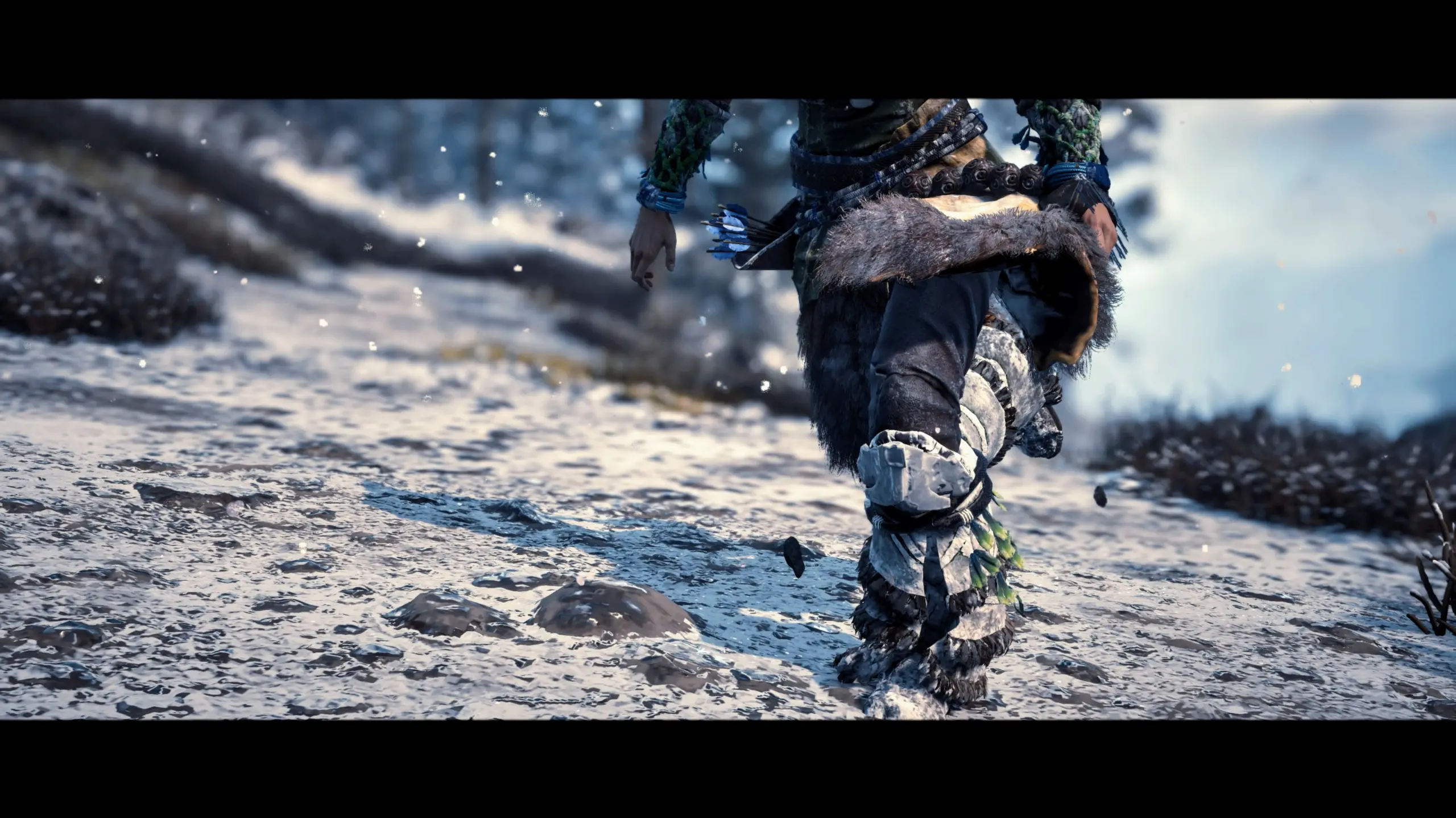 Walk in the snow
