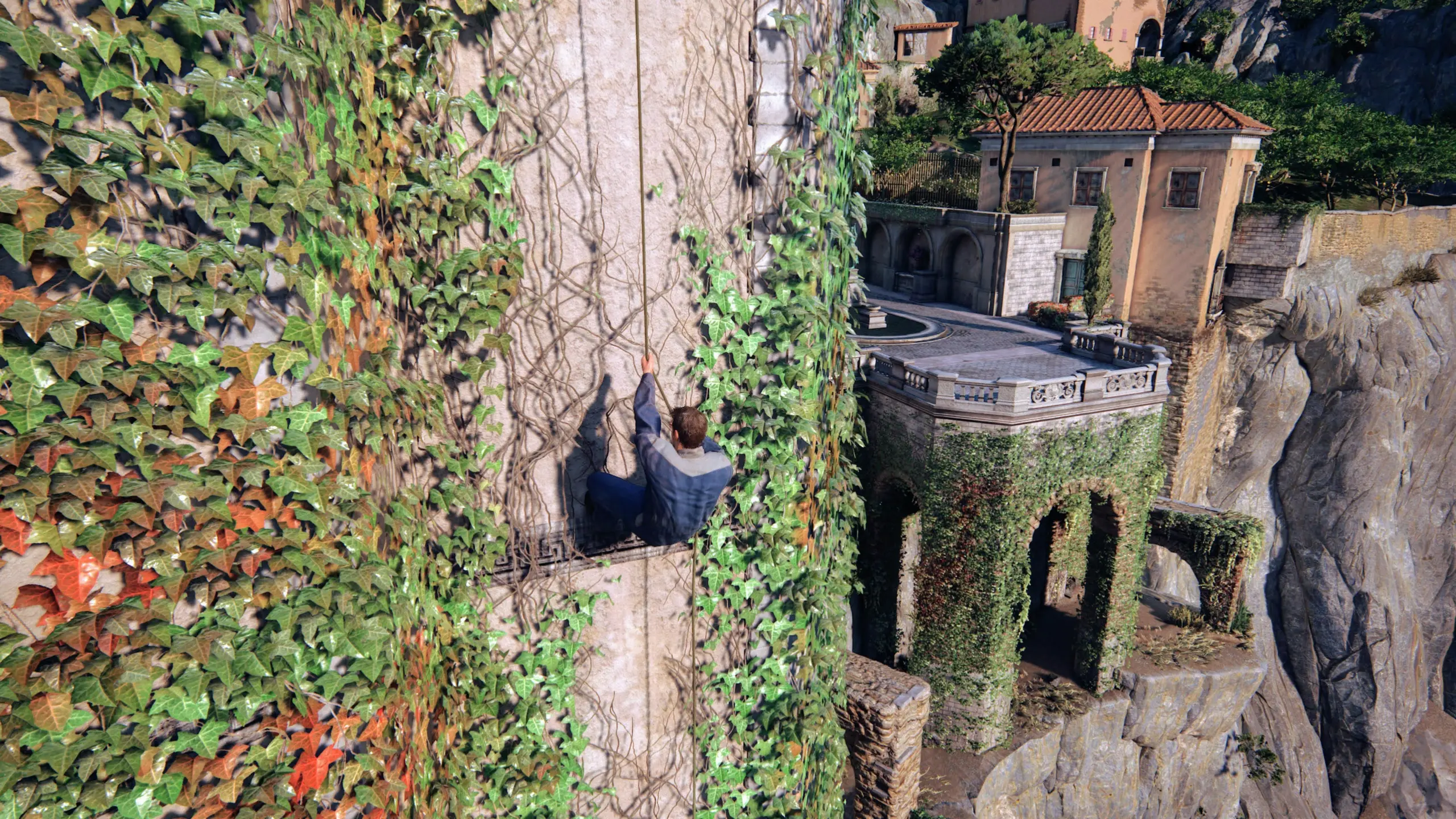Ascending a wall of vines