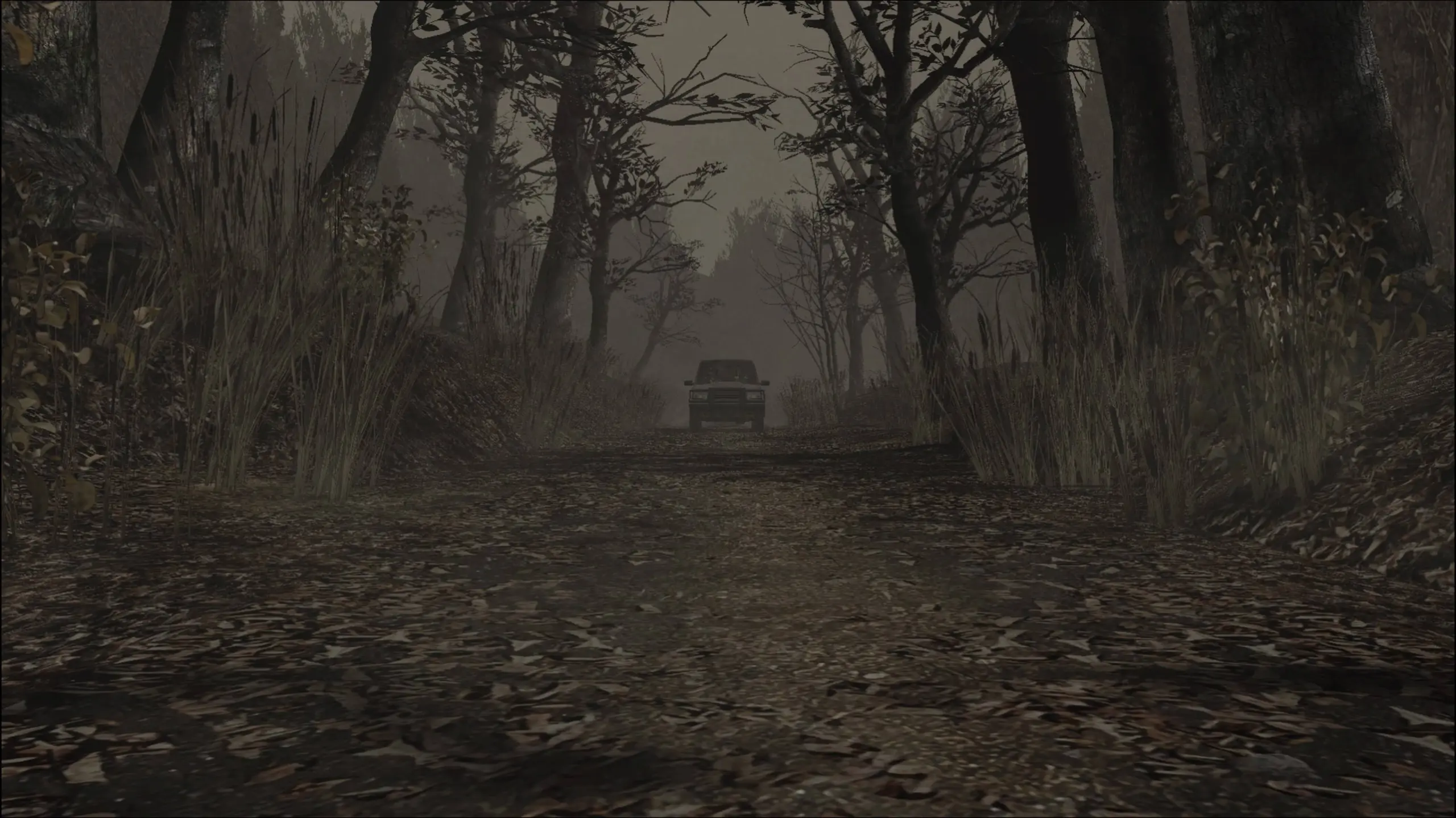 Leon’s arrival