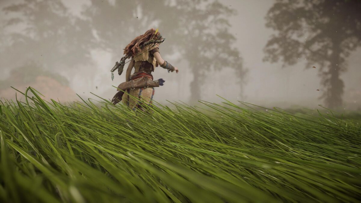 Wind-blown fields south of Meridian