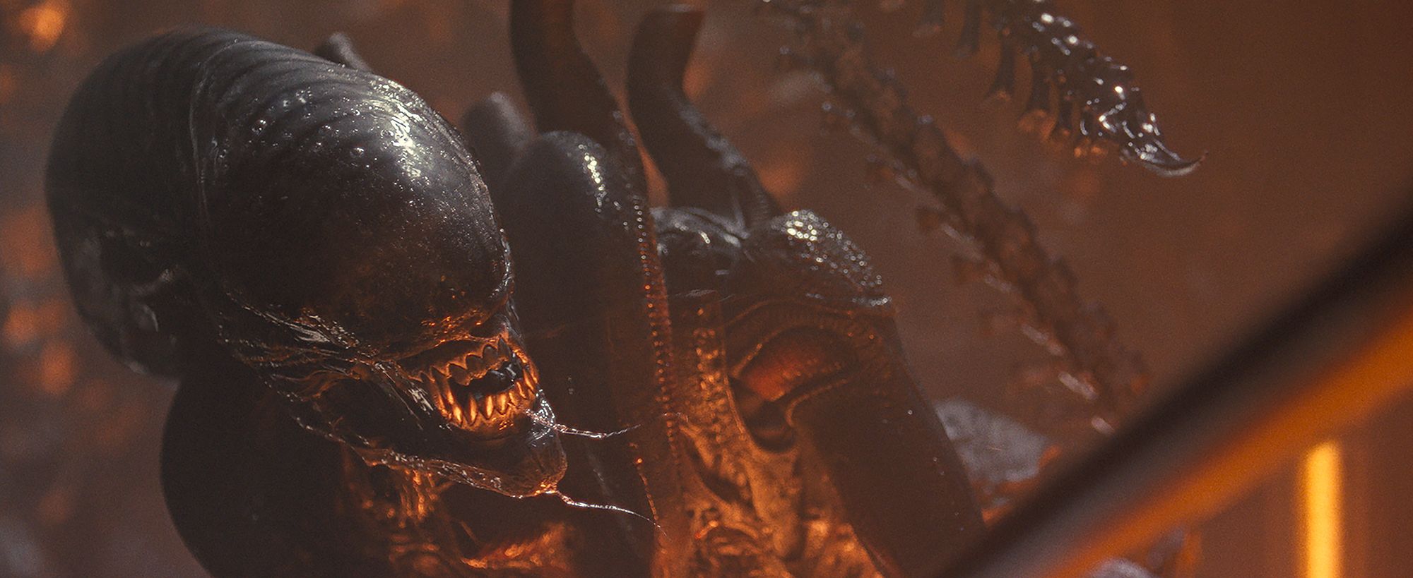 Watched Alien Romulus