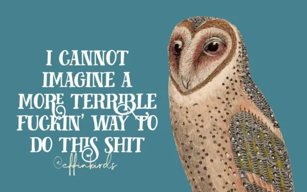 Drawn image of an owl. The caption besides it reads: "I cannot imagine a more terrible way to do this shit"