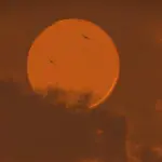 A dark red sky waith a lighter red moon giving a fiery feel. Two birds fly between us and the moon, still very far away.