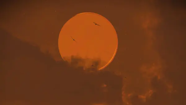 A dark red sky waith a lighter red moon giving a fiery feel. Two birds fly between us and the moon, still very far away.