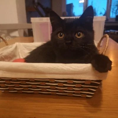JD