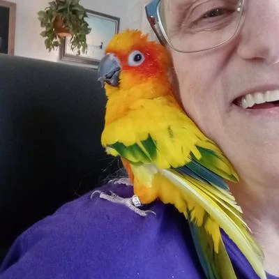 Lorraine 💜🦜🎶🍀🤘
